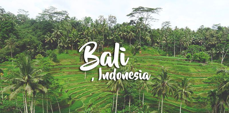 Eat Pray Love Bali Tour